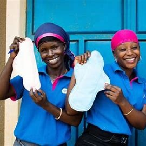 THE CRITICAL ROLE OF SANITATION AND PROPER DISPOSAL IN MENSTRUAL HYGIENE